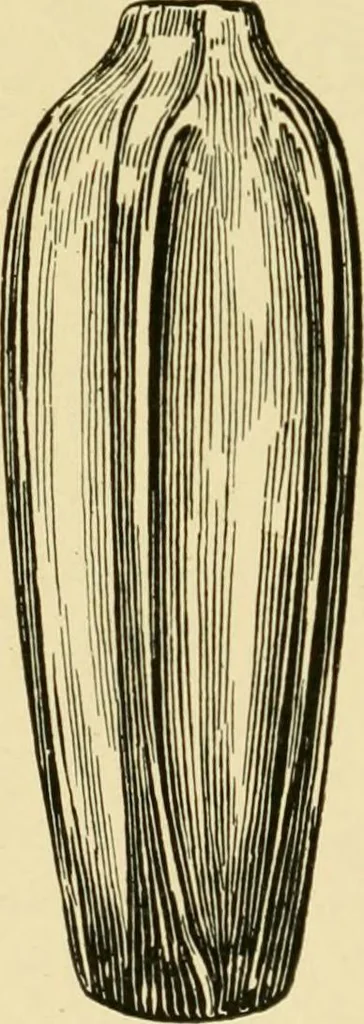 An illustration from Ornament & its application; a book for students, treating in a practical way of the relation of design to material, tools and methods of work, 1904, leaf 271