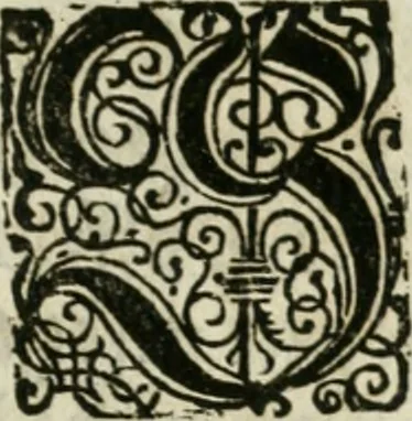 An illustration from Ornatvs ecclesiasticvs, hoc est, Compendivm praecipvarvm rervm, qvibvs qvaevis rite decenterqve compositae ecclesiae exornari, ac redimiri debent : omnibus ecclesiarum praelatis & rectoribus, per totam Ratisbonensem Dioecesin cum primis necessarium, Latinè & Germanicè, adiectis etiam quarundam suppellectilium figuris, 1591, leaf 258