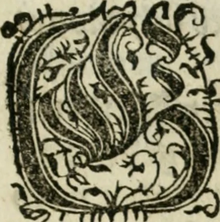 An illustration from Ornatvs ecclesiasticvs, hoc est, Compendivm praecipvarvm rervm, qvibvs qvaevis rite decenterqve compositae ecclesiae exornari, ac redimiri debent : omnibus ecclesiarum praelatis & rectoribus, per totam Ratisbonensem Dioecesin cum primis necessarium, Latinè & Germanicè, adiectis etiam quarundam suppellectilium figuris, 1591, leaf 268