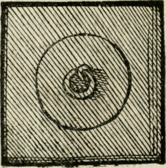 An illustration from Ornatvs ecclesiasticvs, hoc est, Compendivm praecipvarvm rervm, qvibvs qvaevis rite decenterqve compositae ecclesiae exornari, ac redimiri debent : omnibus ecclesiarum praelatis & rectoribus, per totam Ratisbonensem Dioecesin cum primis necessarium, Latinè & Germanicè, adiectis etiam quarundam suppellectilium figuris, 1591, leaf 303