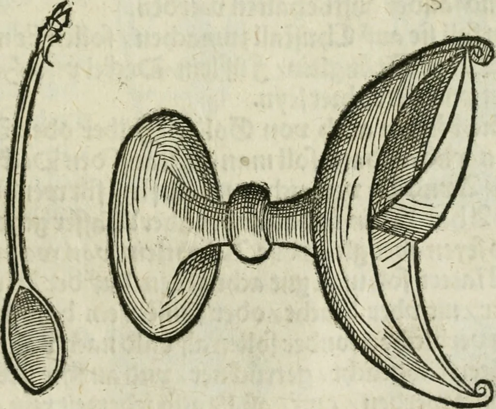An illustration from Ornatvs ecclesiasticvs, hoc est, Compendivm praecipvarvm rervm, qvibvs qvaevis rite decenterqve compositae ecclesiae exornari, ac redimiri debent : omnibus ecclesiarum praelatis & rectoribus, per totam Ratisbonensem Dioecesin cum primis necessarium, Latinè & Germanicè, adiectis etiam quarundam suppellectilium figuris, 1591, leaf 316