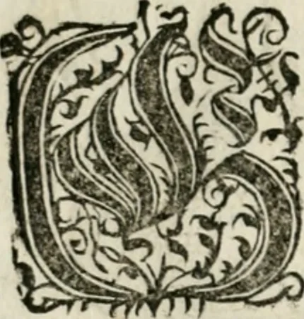 An illustration from Ornatvs ecclesiasticvs, hoc est, Compendivm praecipvarvm rervm, qvibvs qvaevis rite decenterqve compositae ecclesiae exornari, ac redimiri debent : omnibus ecclesiarum praelatis & rectoribus, per totam Ratisbonensem Dioecesin cum primis necessarium, Latinè & Germanicè, adiectis etiam quarundam suppellectilium figuris, 1591, leaf 319