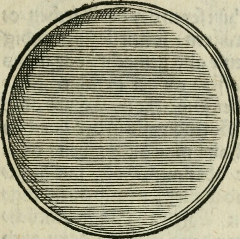 An illustration from Ornatvs ecclesiasticvs, hoc est, Compendivm praecipvarvm rervm, qvibvs qvaevis rite decenterqve compositae ecclesiae exornari, ac redimiri debent : omnibus ecclesiarum praelatis & rectoribus, per totam Ratisbonensem Dioecesin cum primis necessarium, Latinè & Germanicè, adiectis etiam quarundam suppellectilium figuris, 1591, leaf 320