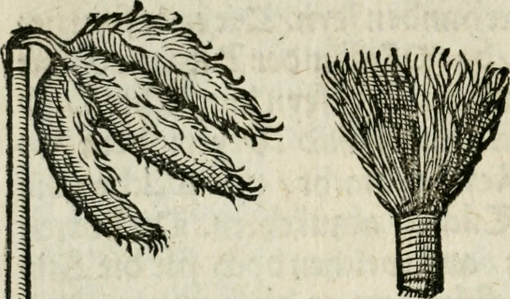 An illustration from Ornatvs ecclesiasticvs, hoc est, Compendivm praecipvarvm rervm, qvibvs qvaevis rite decenterqve compositae ecclesiae exornari, ac redimiri debent : omnibus ecclesiarum praelatis & rectoribus, per totam Ratisbonensem Dioecesin cum primis necessarium, Latinè & Germanicè, adiectis etiam quarundam suppellectilium figuris, 1591, leaf 331