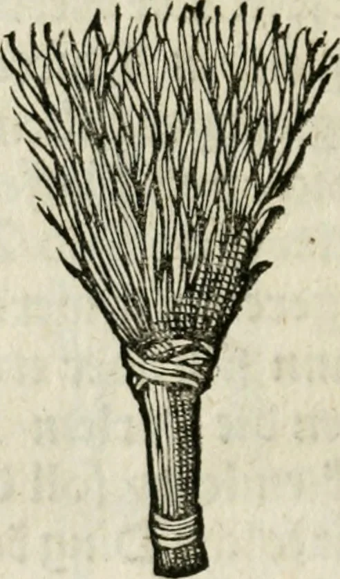 An illustration from Ornatvs ecclesiasticvs, hoc est, Compendivm praecipvarvm rervm, qvibvs qvaevis rite decenterqve compositae ecclesiae exornari, ac redimiri debent : omnibus ecclesiarum praelatis & rectoribus, per totam Ratisbonensem Dioecesin cum primis necessarium, Latinè & Germanicè, adiectis etiam quarundam suppellectilium figuris, 1591, leaf 331