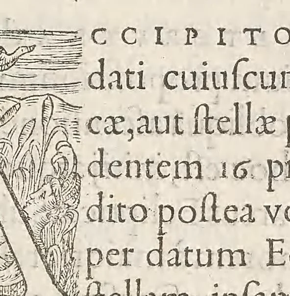 An illustration from Orontii Finei Delphinatis, regii mathematicarvm professoris, De solaribus horologiis, & quadrantibus, libri quatuor. Sequens pagina summa librorum capita tibi expediet, 1560, leaf 243