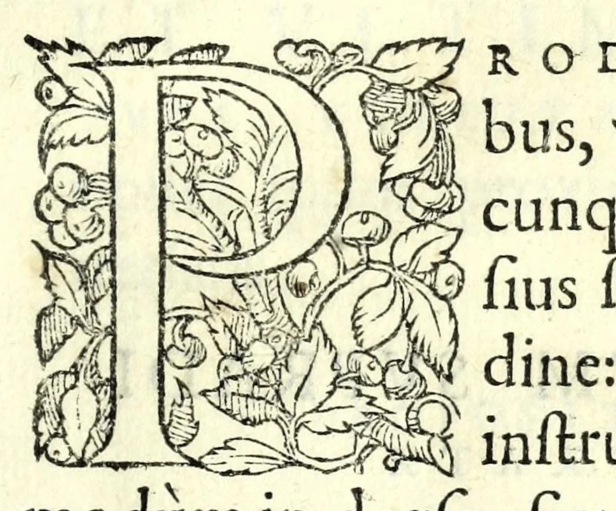 An illustration from Orontii Finei Delphinatis, regii mathematicarvm professoris, De solaribus horologiis & quadrantibus libri quatuor, 1560, leaf 225