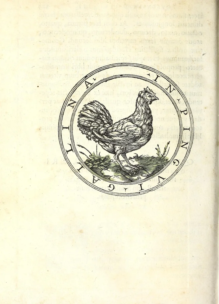 An illustration from Orontii Finei Delphinatis, regii mathematicarvm professoris, De solaribus horologiis & quadrantibus libri quatuor, 1560, leaf 246