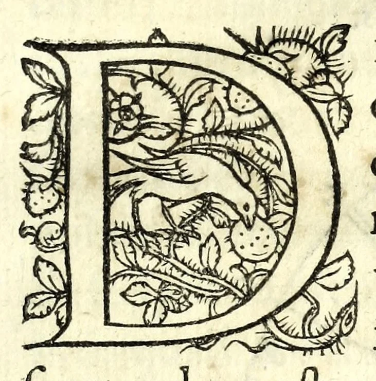 An illustration from Orontii Finei Delphinatis, regii mathematicarvm professoris, De solaribus horologiis & quadrantibus libri quatuor, 1560, leaf 77