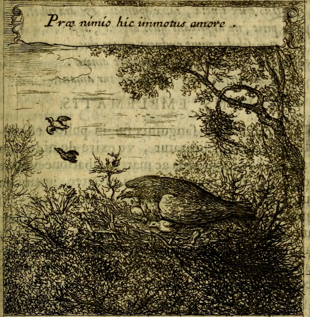 An illustration from Orphevs evcharisticvs. Sive devs absconditvs humanitatis illecebris illustriores mundi partes ad se pertrahens, vltroneas arcanae maiestatis adoratrices, 1657, leaf 242