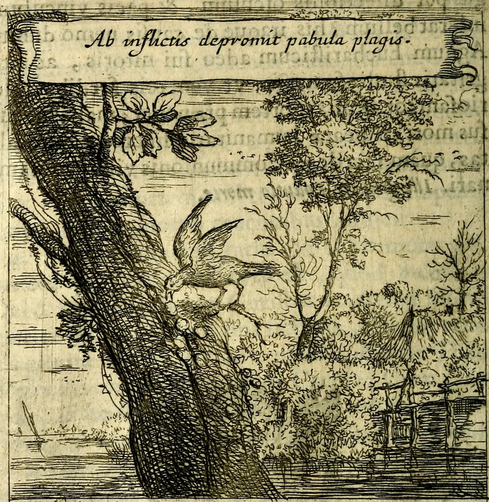 An illustration from Orphevs evcharisticvs. Sive devs absconditvs humanitatis illecebris illustriores mundi partes ad se pertrahens, vltroneas arcanae maiestatis adoratrices, 1657, leaf 263
