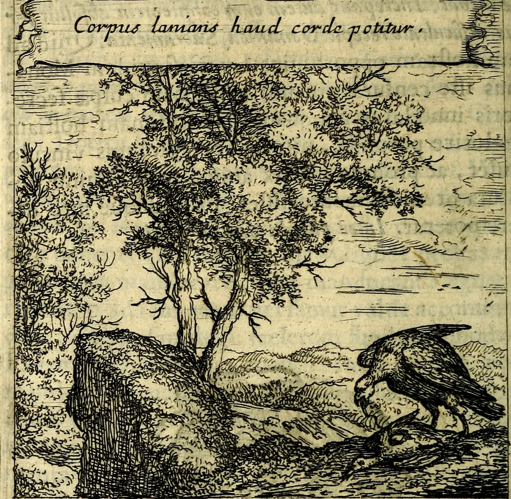 An illustration from Orphevs evcharisticvs. Sive devs absconditvs humanitatis illecebris illustriores mundi partes ad se pertrahens, vltroneas arcanae maiestatis adoratrices, 1657, leaf 275