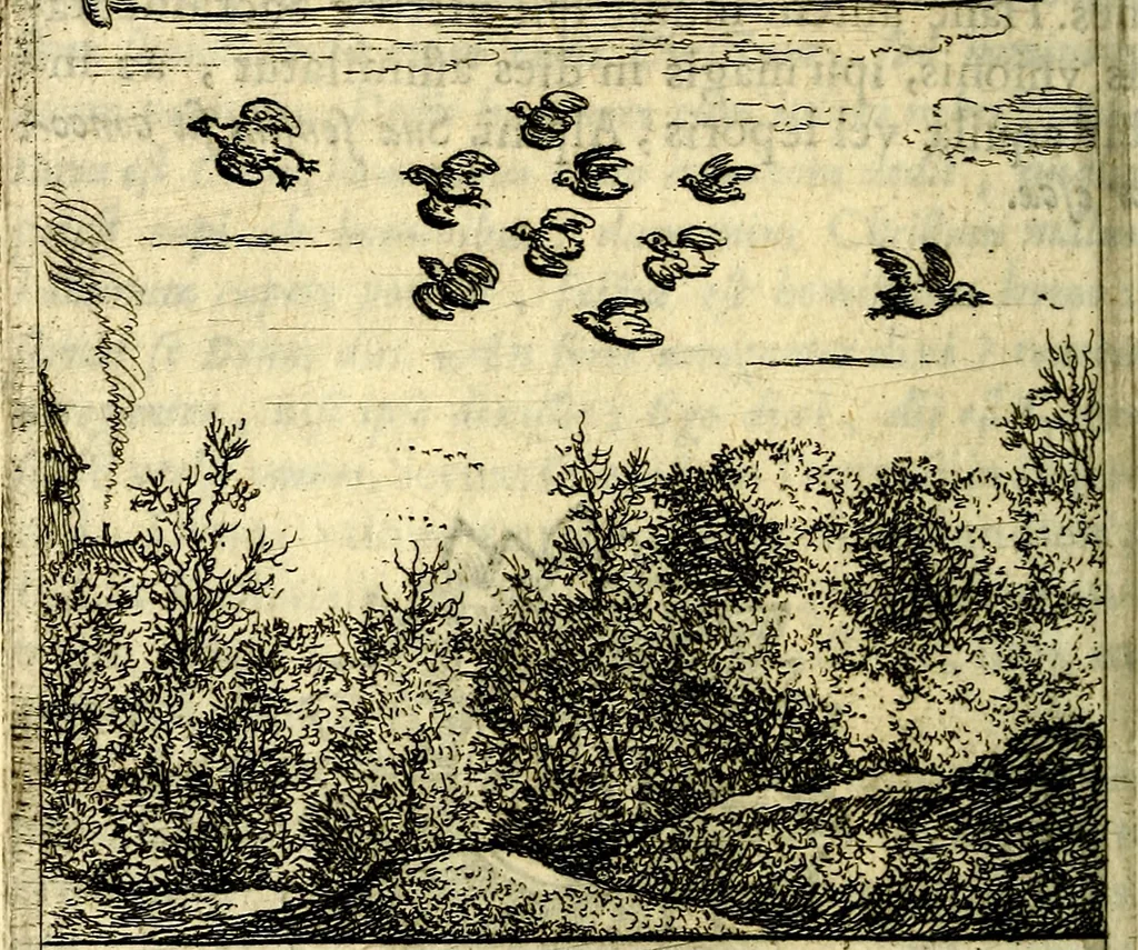 An illustration from Orphevs evcharisticvs. Sive devs absconditvs humanitatis illecebris illustriores mundi partes ad se pertrahens, vltroneas arcanae maiestatis adoratrices, 1657, leaf 285