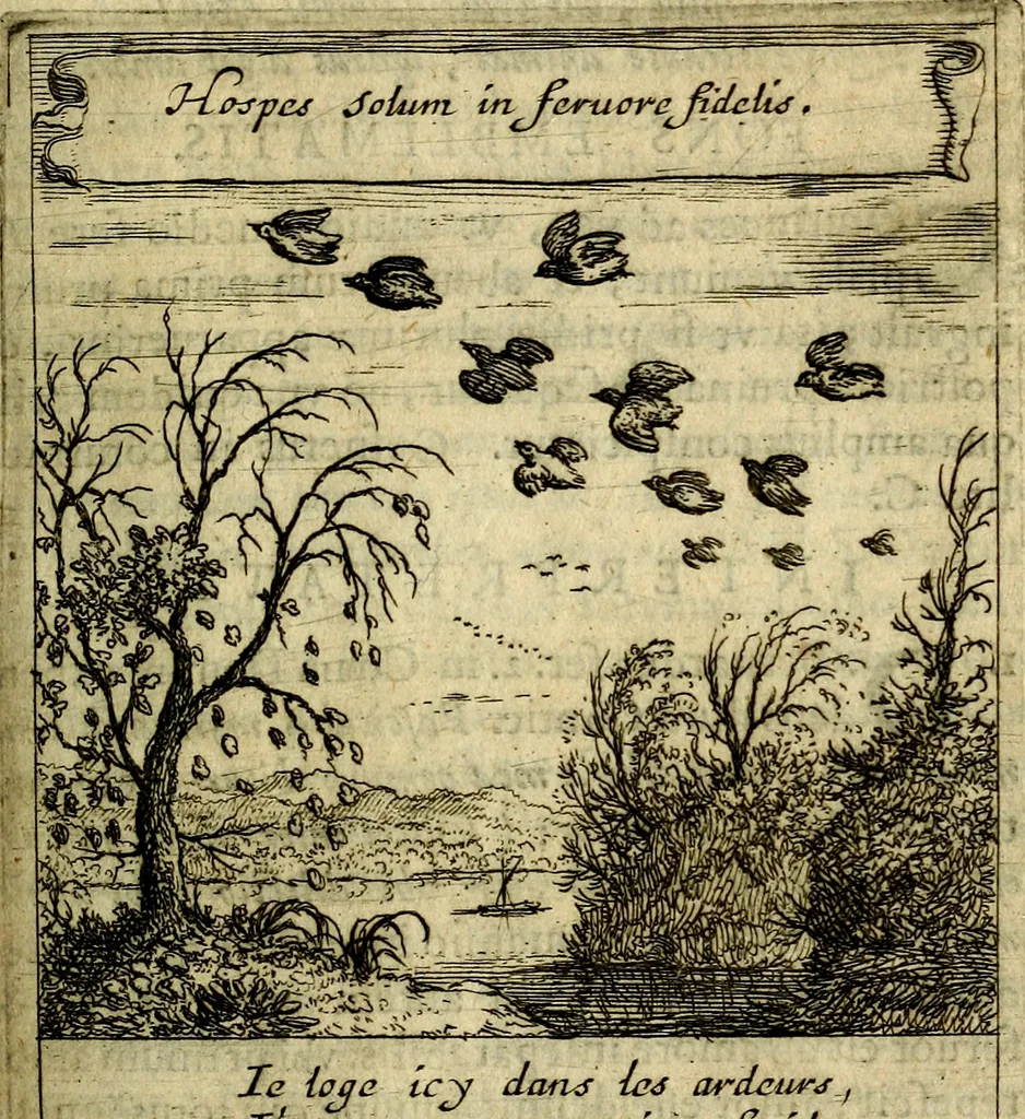 An illustration from Orphevs evcharisticvs. Sive devs absconditvs humanitatis illecebris illustriores mundi partes ad se pertrahens, vltroneas arcanae maiestatis adoratrices, 1657, leaf 308