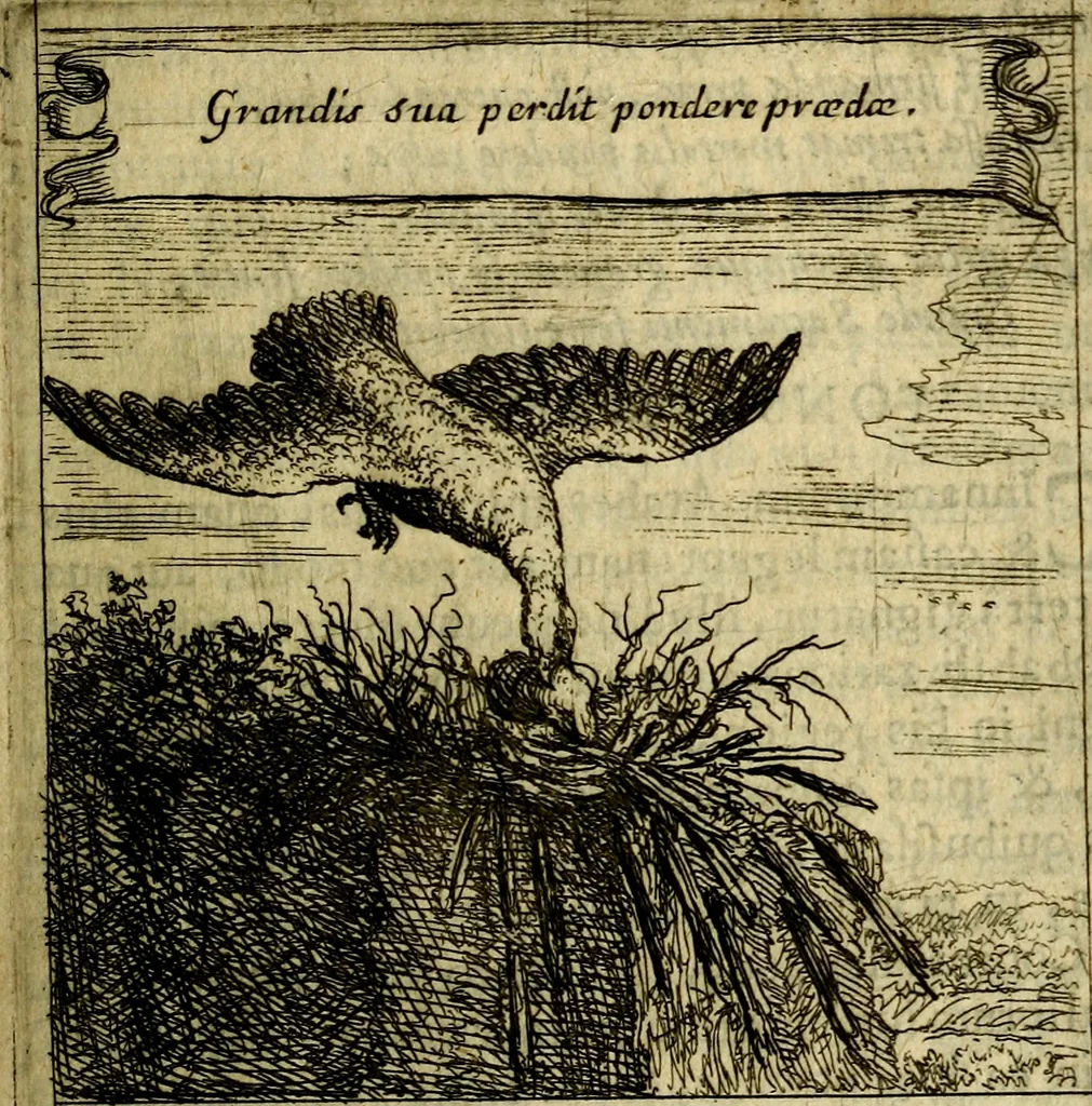 An illustration from Orphevs evcharisticvs. Sive devs absconditvs humanitatis illecebris illustriores mundi partes ad se pertrahens, vltroneas arcanae maiestatis adoratrices, 1657, leaf 332