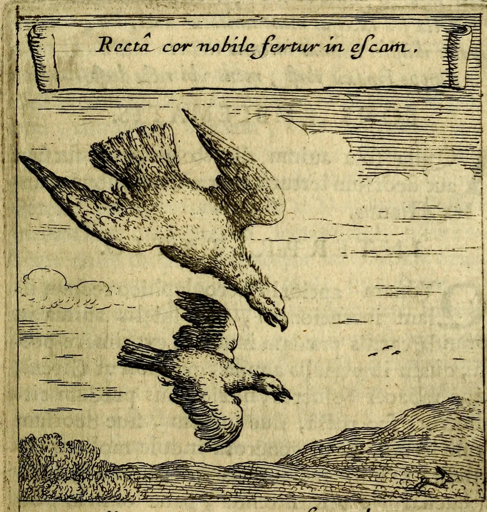 An illustration from Orphevs evcharisticvs. Sive devs absconditvs humanitatis illecebris illustriores mundi partes ad se pertrahens, vltroneas arcanae maiestatis adoratrices, 1657, leaf 344