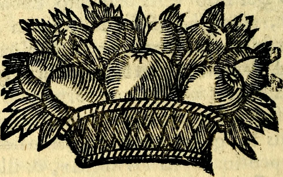 An illustration from Orphevs evcharisticvs. Sive devs absconditvs humanitatis illecebris illustriores mundi partes ad se pertrahens, vltroneas arcanae maiestatis adoratrices, 1657, leaf 355