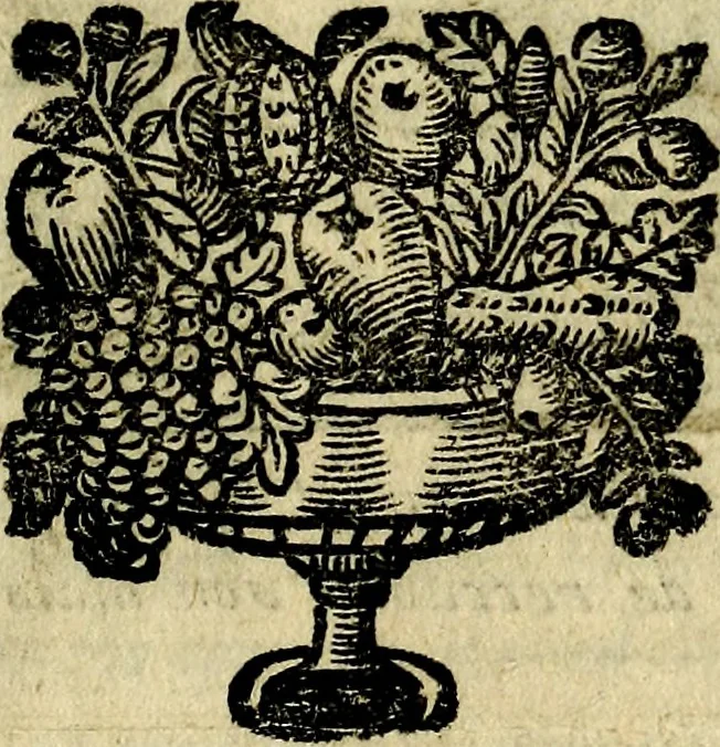 An illustration from Orphevs evcharisticvs. Sive devs absconditvs humanitatis illecebris illustriores mundi partes ad se pertrahens, vltroneas arcanae maiestatis adoratrices, 1657, leaf 416