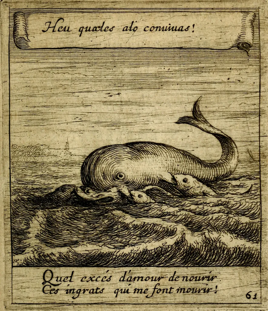 An illustration from Orphevs evcharisticvs. Sive devs absconditvs humanitatis illecebris illustriores mundi partes ad se pertrahens, vltroneas arcanae maiestatis adoratrices, 1657, leaf 436