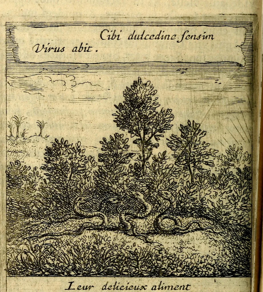 An illustration from Orphevs evcharisticvs. Sive devs absconditvs humanitatis illecebris illustriores mundi partes ad se pertrahens, vltroneas arcanae maiestatis adoratrices, 1657, leaf 501
