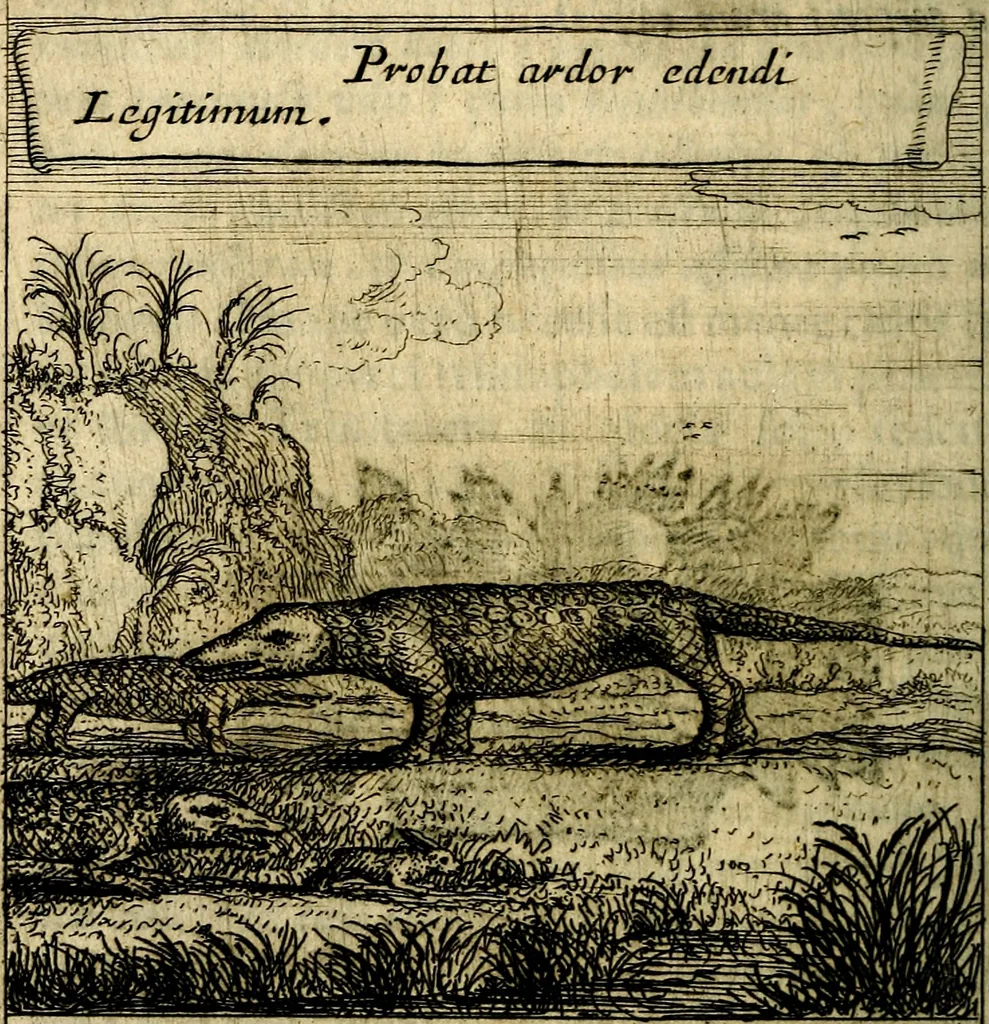 An illustration from Orphevs evcharisticvs. Sive devs absconditvs humanitatis illecebris illustriores mundi partes ad se pertrahens, vltroneas arcanae maiestatis adoratrices, 1657, leaf 523
