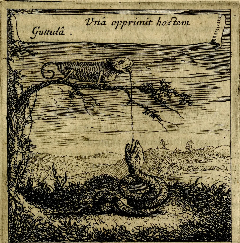 An illustration from Orphevs evcharisticvs. Sive devs absconditvs humanitatis illecebris illustriores mundi partes ad se pertrahens, vltroneas arcanae maiestatis adoratrices, 1657, leaf 530