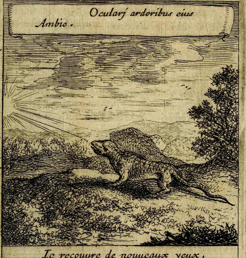 An illustration from Orphevs evcharisticvs. Sive devs absconditvs humanitatis illecebris illustriores mundi partes ad se pertrahens, vltroneas arcanae maiestatis adoratrices, 1657, leaf 536