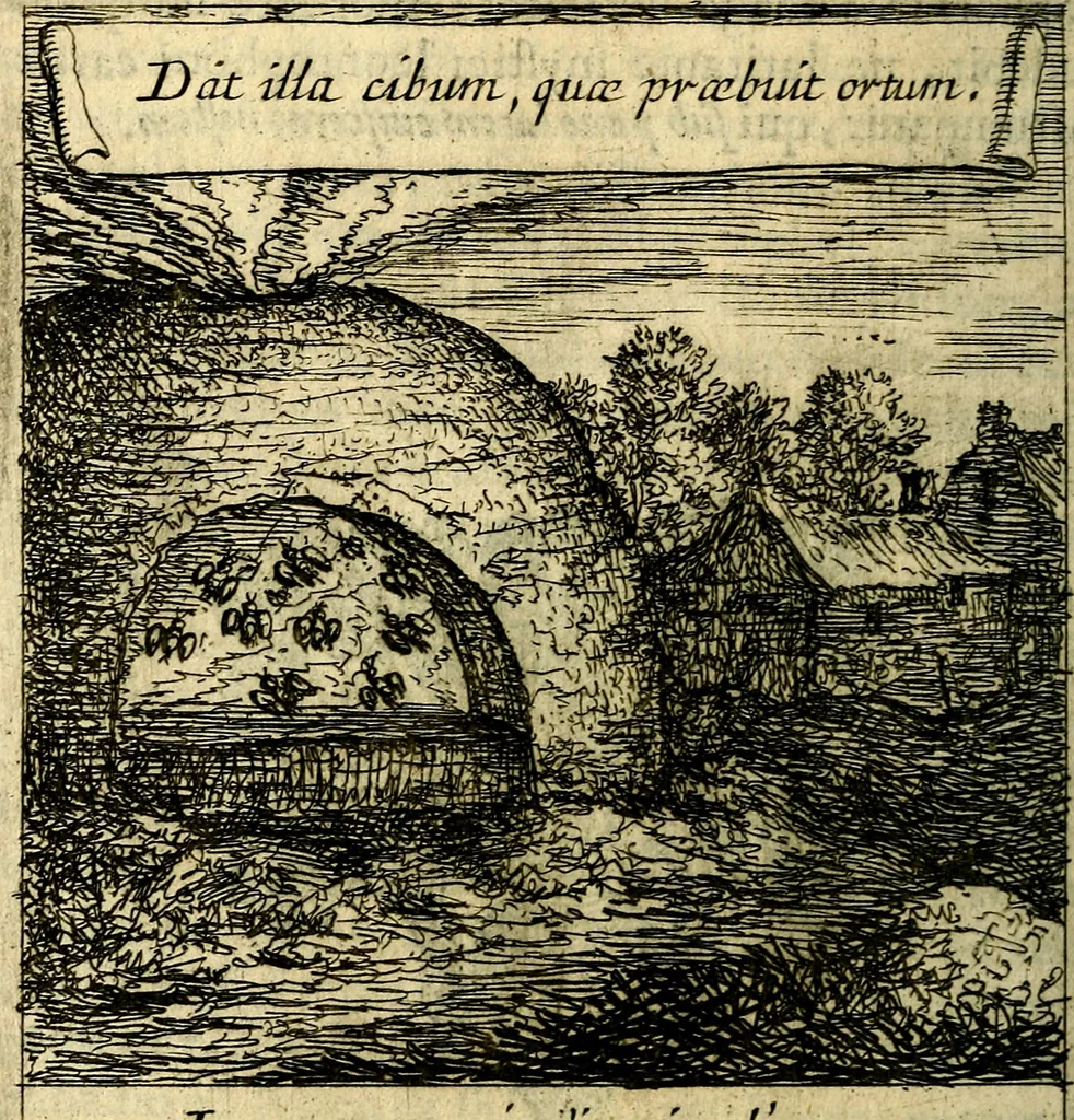 An illustration from Orphevs evcharisticvs. Sive devs absconditvs humanitatis illecebris illustriores mundi partes ad se pertrahens, vltroneas arcanae maiestatis adoratrices, 1657, leaf 557