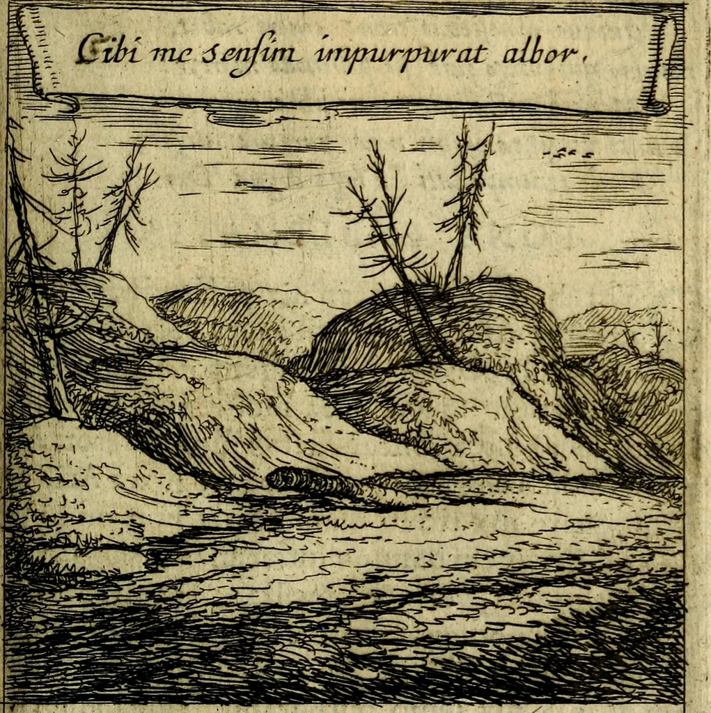 An illustration from Orphevs evcharisticvs. Sive devs absconditvs humanitatis illecebris illustriores mundi partes ad se pertrahens, vltroneas arcanae maiestatis adoratrices, 1657, leaf 564