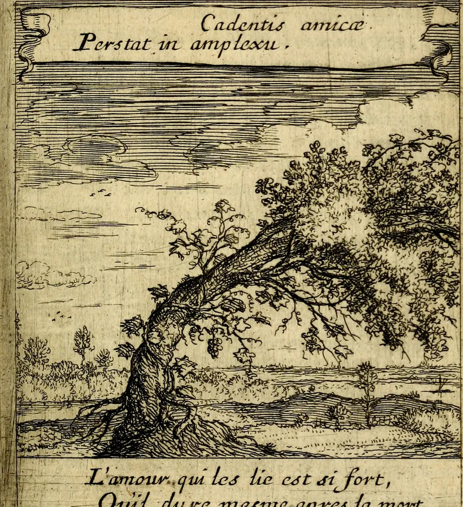 An illustration from Orphevs evcharisticvs. Sive devs absconditvs humanitatis illecebris illustriores mundi partes ad se pertrahens, vltroneas arcanae maiestatis adoratrices, 1657, leaf 628