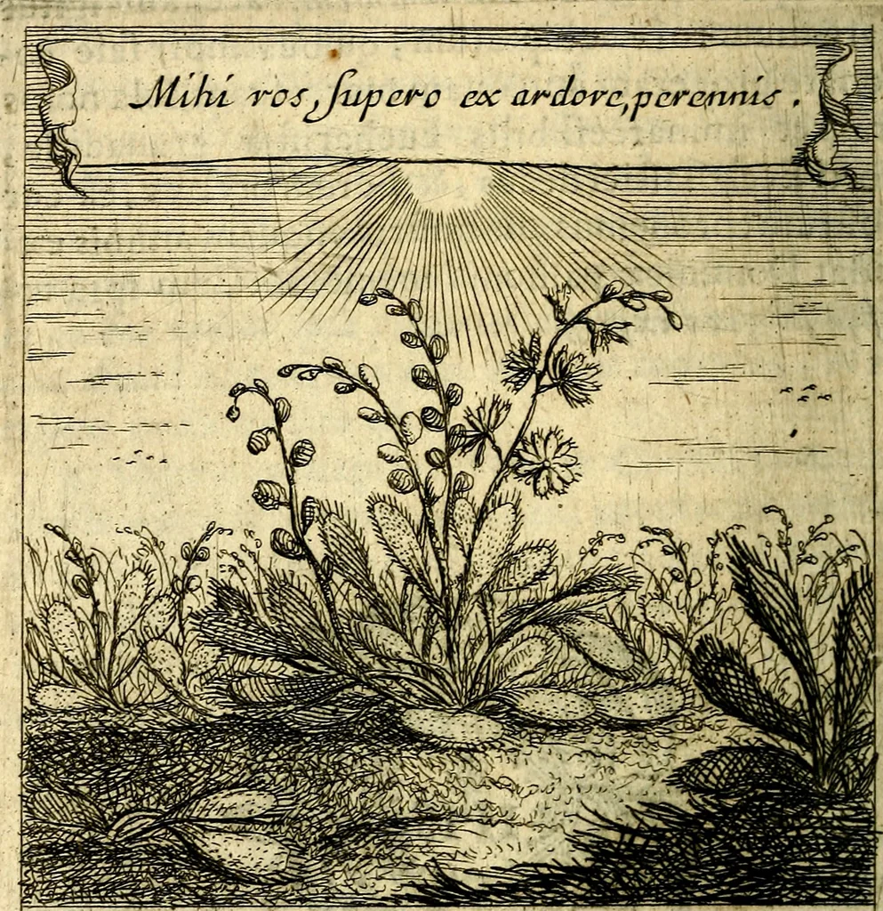 An illustration from Orphevs evcharisticvs. Sive devs absconditvs humanitatis illecebris illustriores mundi partes ad se pertrahens, vltroneas arcanae maiestatis adoratrices, 1657, leaf 649