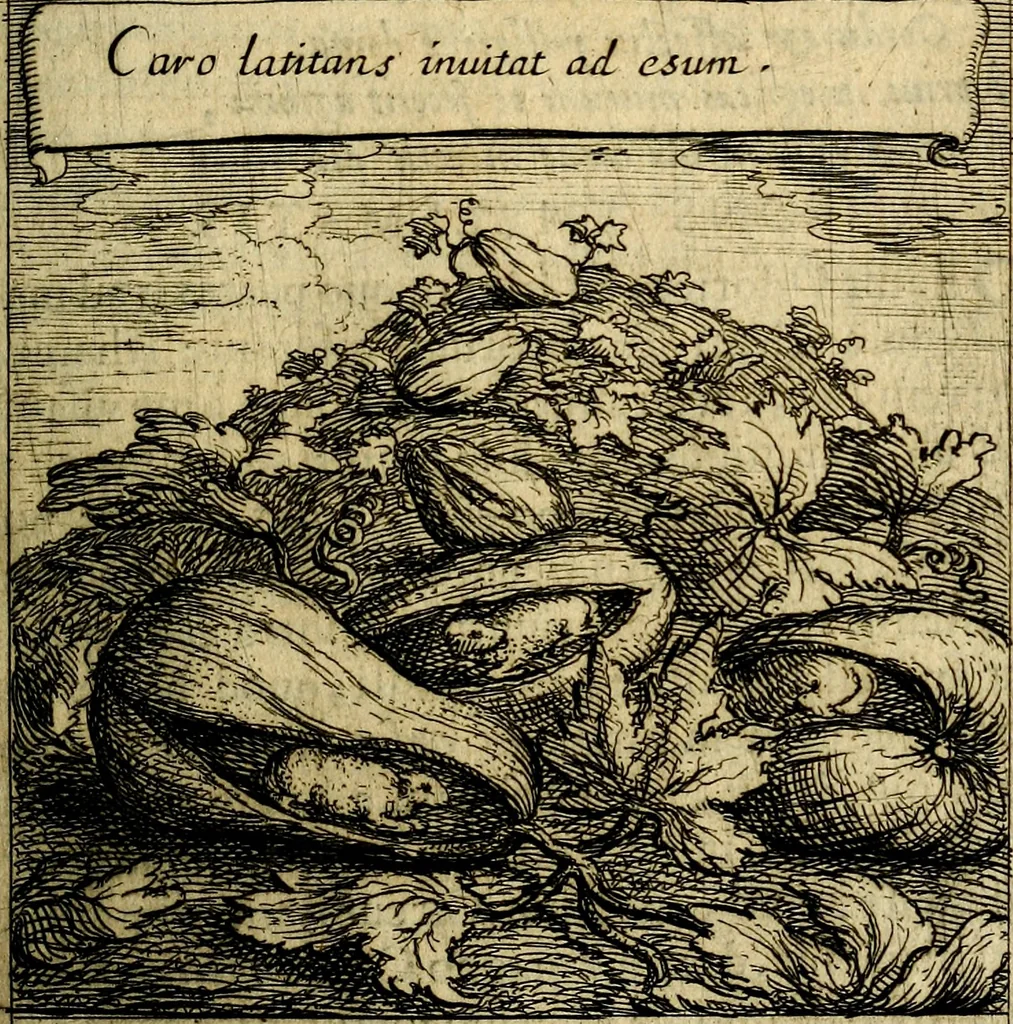 An illustration from Orphevs evcharisticvs. Sive devs absconditvs humanitatis illecebris illustriores mundi partes ad se pertrahens, vltroneas arcanae maiestatis adoratrices, 1657, leaf 656