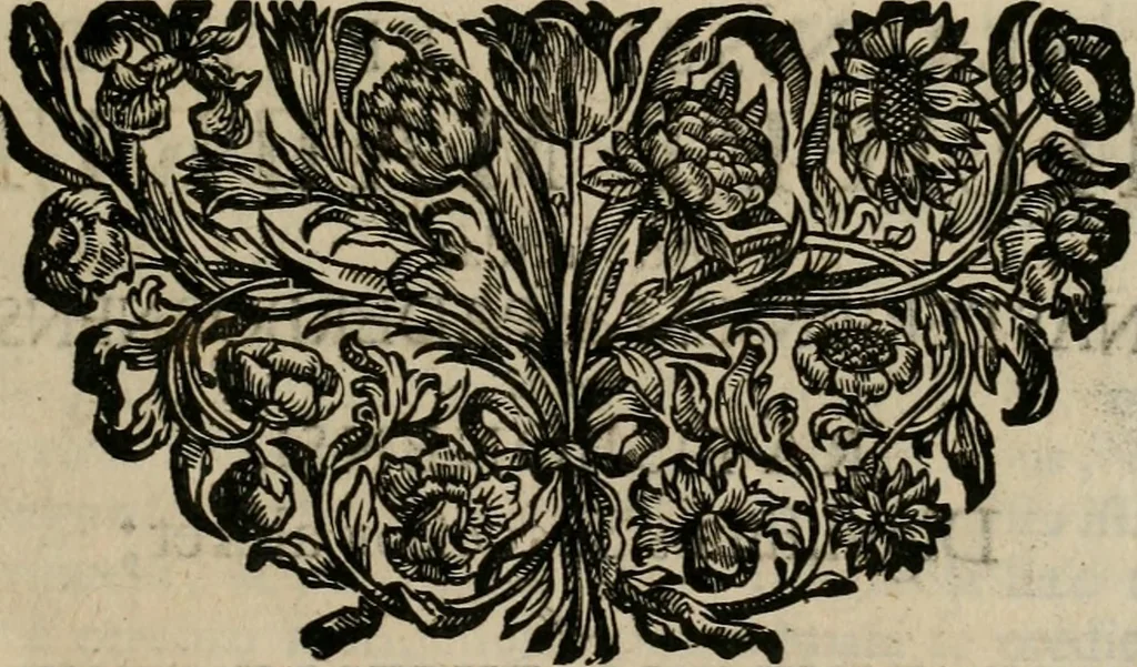 An illustration from Ortus Castoris ratibus propitius, Ratisbonæ è specula pieria Collegii Societatis Jesu in reverendissimo ac serenissimo principe, ac domino ... Joanne Theodoro ... tubo historico-poëtico observatvs, quando sideri fraterno serenissimo Clementi Augusto, in statione episcopatûs Ratisbonensis, successit, 1721, leaf 24