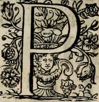 An illustration from Ortus Castoris ratibus propitius, Ratisbonæ è specula pieria Collegii Societatis Jesu in reverendissimo ac serenissimo principe, ac domino ... Joanne Theodoro ... tubo historico-poëtico observatvs, quando sideri fraterno serenissimo Clementi Augusto, in statione episcopatûs Ratisbonensis, successit, 1721, leaf 37