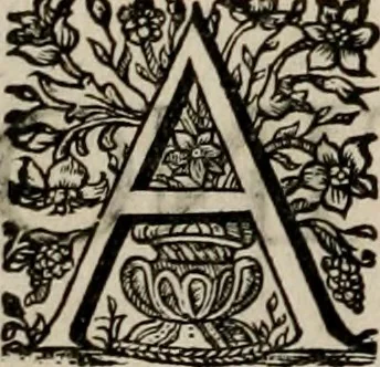 An illustration from Ortus Castoris ratibus propitius, Ratisbonæ è specula pieria Collegii Societatis Jesu in reverendissimo ac serenissimo principe, ac domino ... Joanne Theodoro ... tubo historico-poëtico observatvs, quando sideri fraterno serenissimo Clementi Augusto, in statione episcopatûs Ratisbonensis, successit, 1721, leaf 9