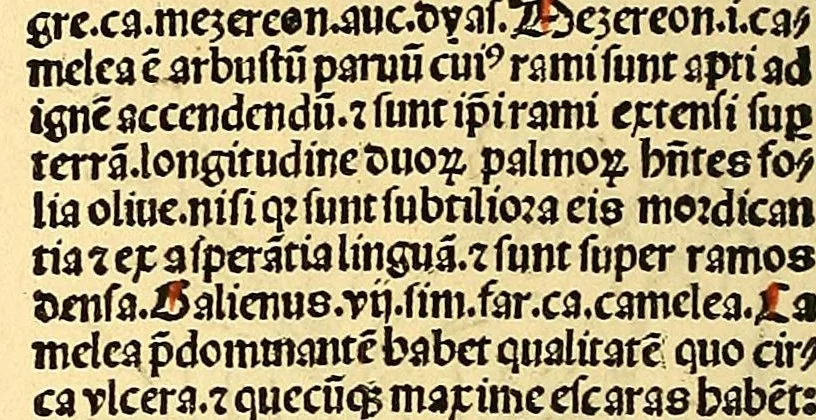 An illustration from Ortus sanitatis, leaf 130