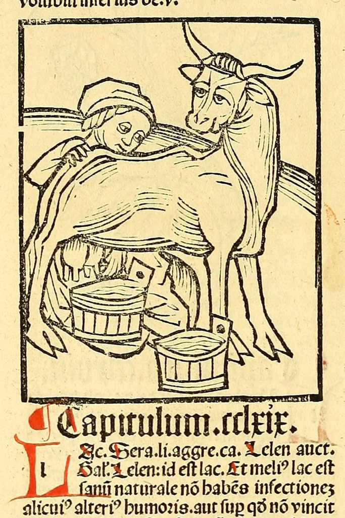 An illustration from Ortus sanitatis, leaf 216