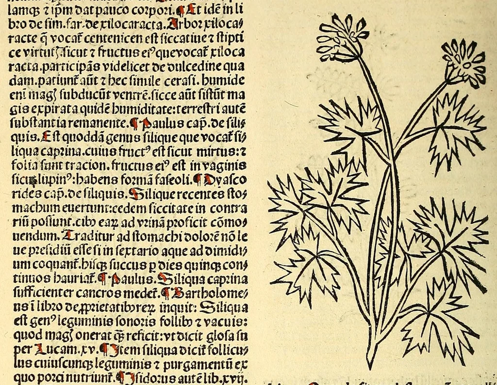 An illustration from Ortus sanitatis, leaf 352