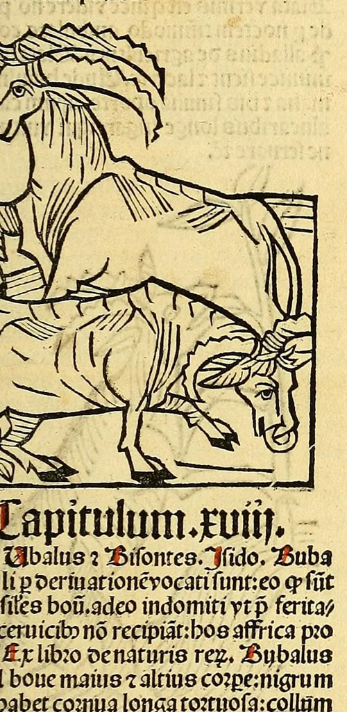 An illustration from Ortus sanitatis, leaf 439