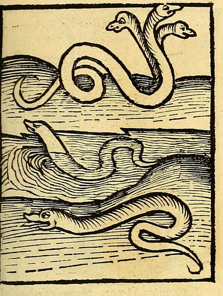 An illustration from Ortus sanitatis, leaf 463