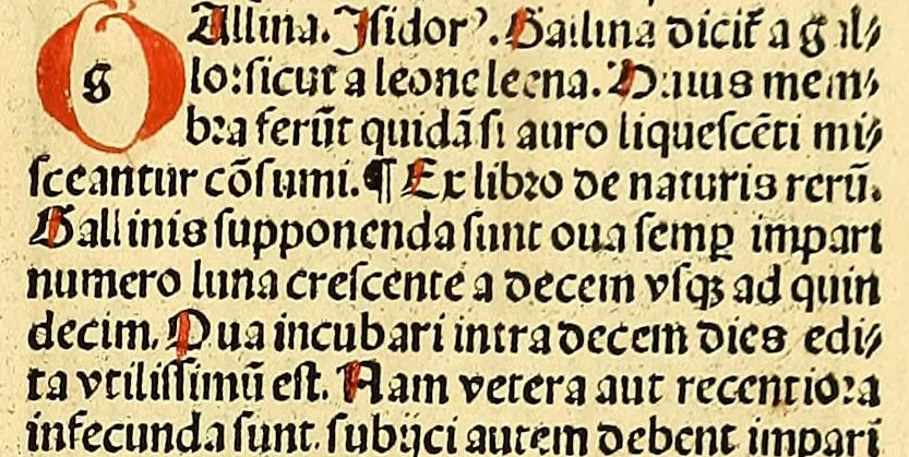 An illustration from Ortus sanitatis, leaf 533