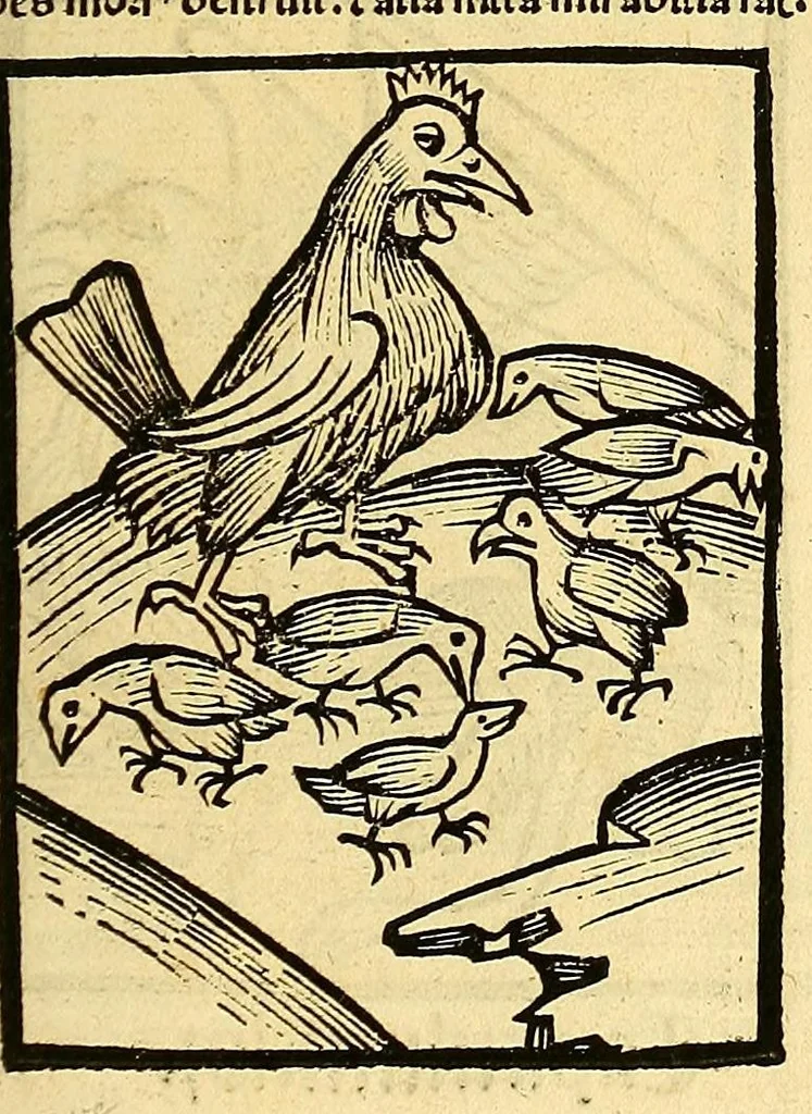 An illustration from Ortus sanitatis, leaf 533
