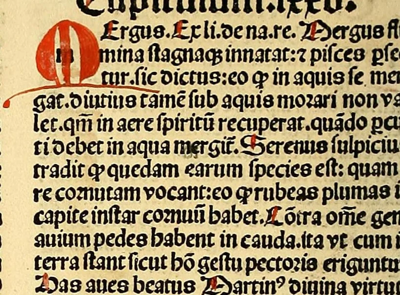 An illustration from Ortus sanitatis, leaf 542