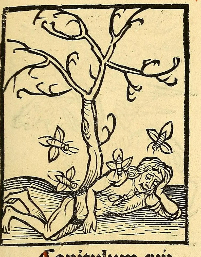 An illustration from Ortus sanitatis, leaf 557