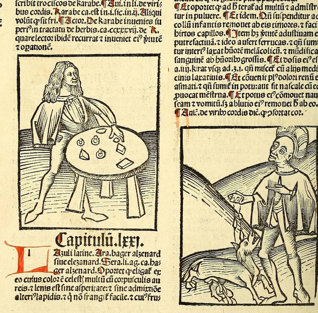 An illustration from Ortus sanitatis, leaf 646