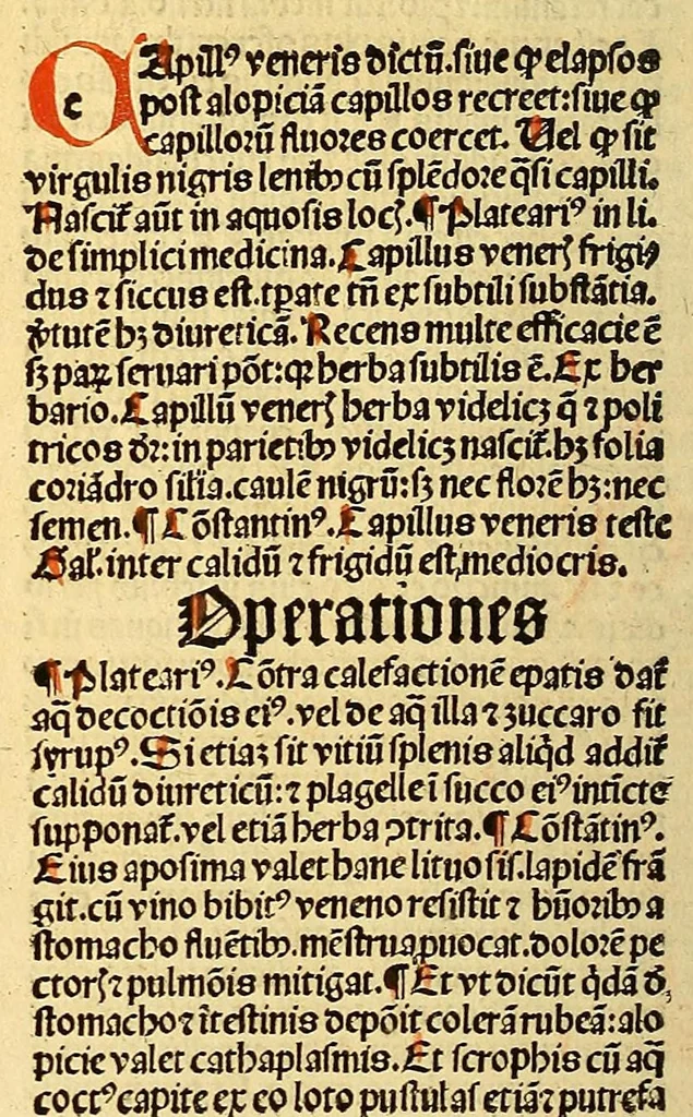 An illustration from Ortus sanitatis, leaf 84