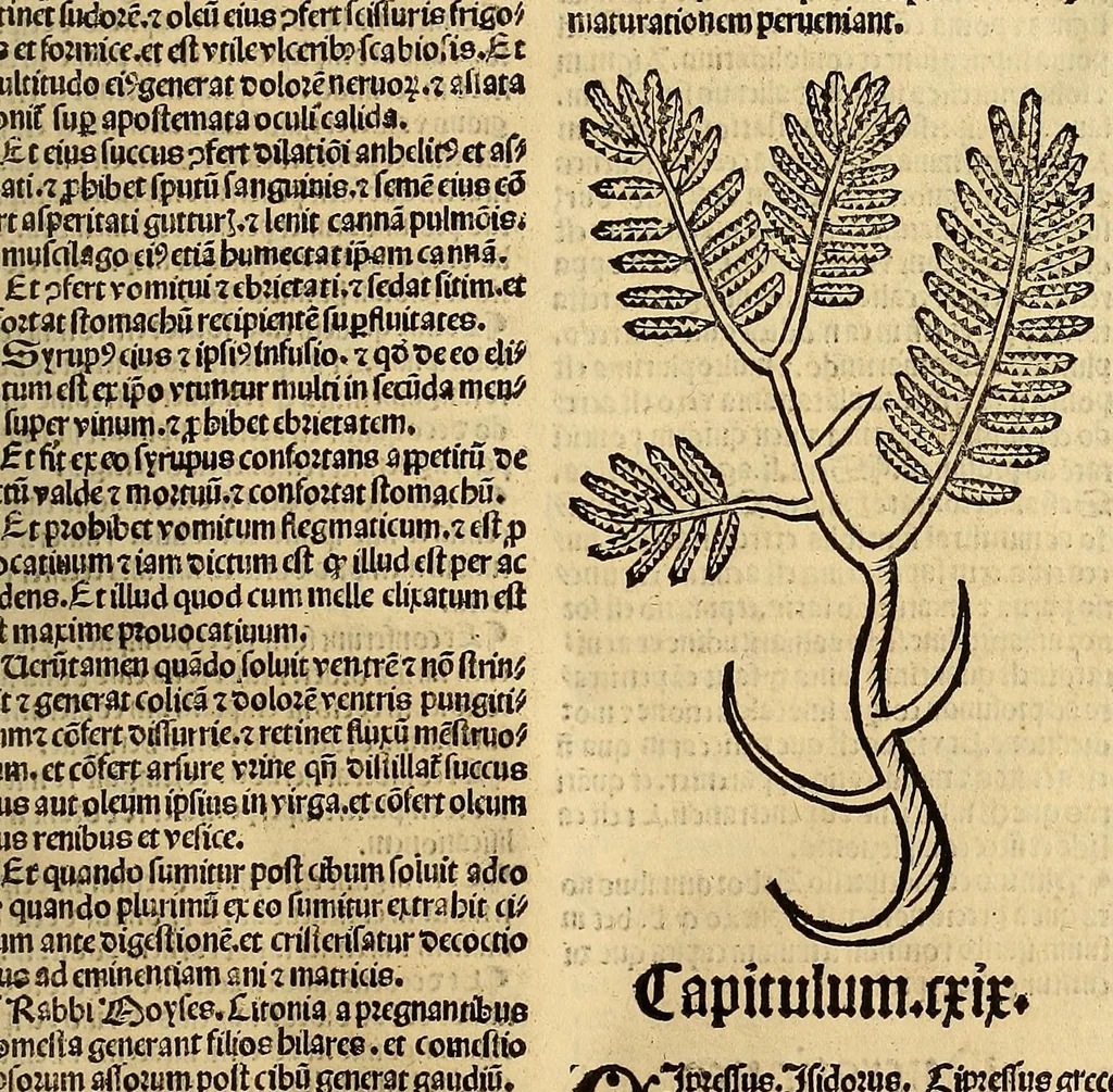 An illustration from Ortus sanitatis, leaf 103