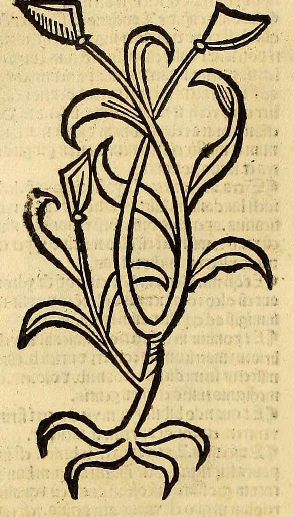 An illustration from Ortus sanitatis, leaf 198