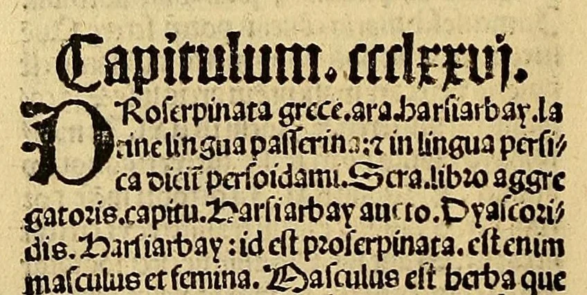 An illustration from Ortus sanitatis, leaf 292
