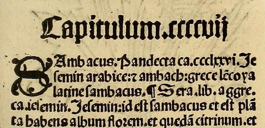 An illustration from Ortus sanitatis, leaf 319